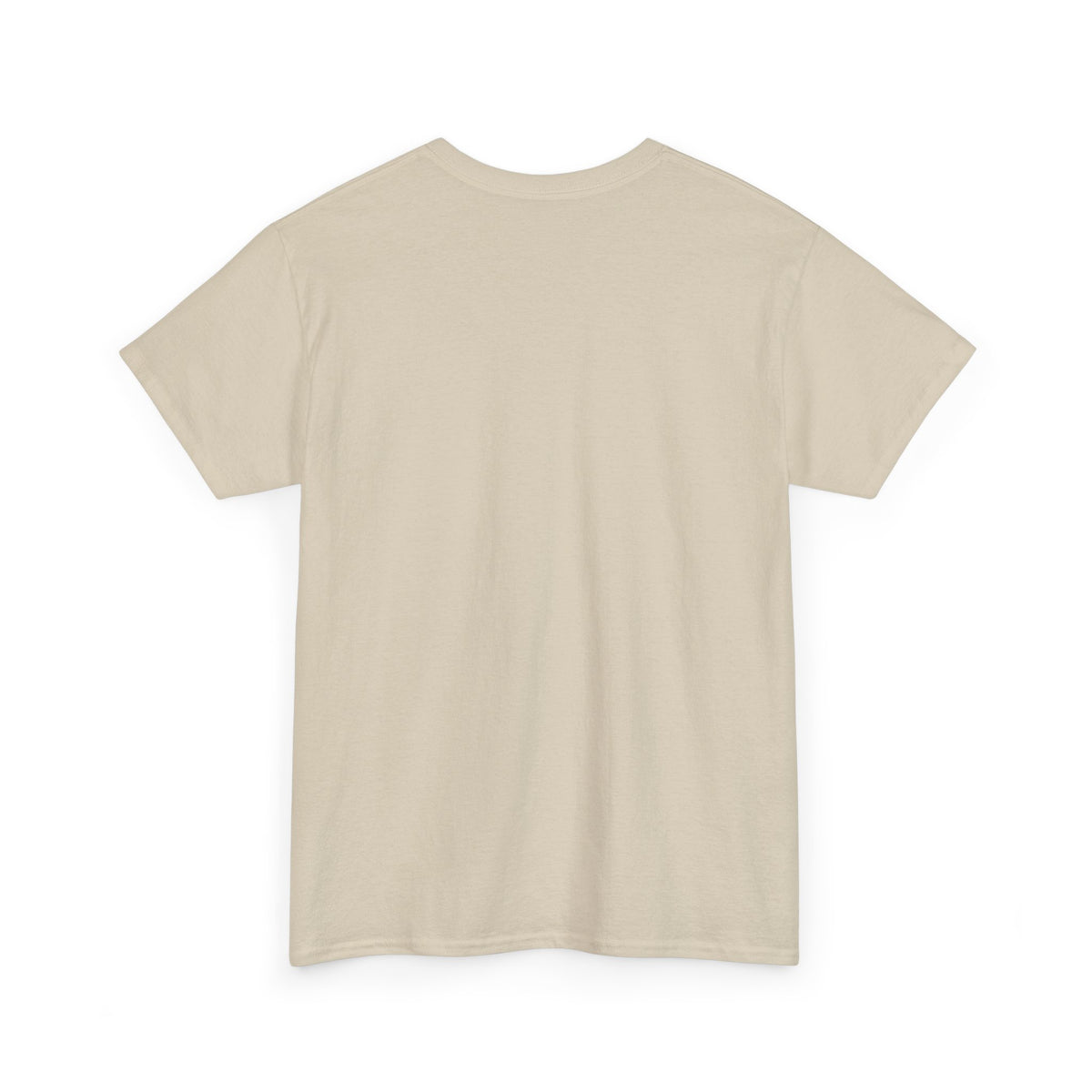 Brevard R.O.C. Tee — Reclaim Our Community Florida Pride T-Shirt