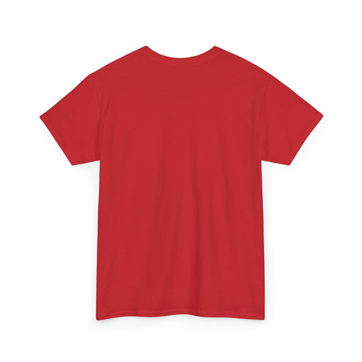 R.O.C. Brevard Florida T-Shirt – Reclaim Our Community Pride Tee