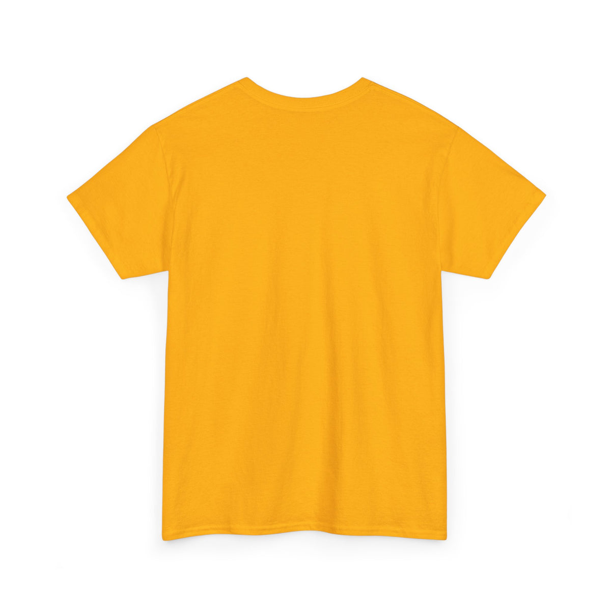 R.O.C. Brevard Florida T-Shirt – Reclaim Our Community Pride Tee