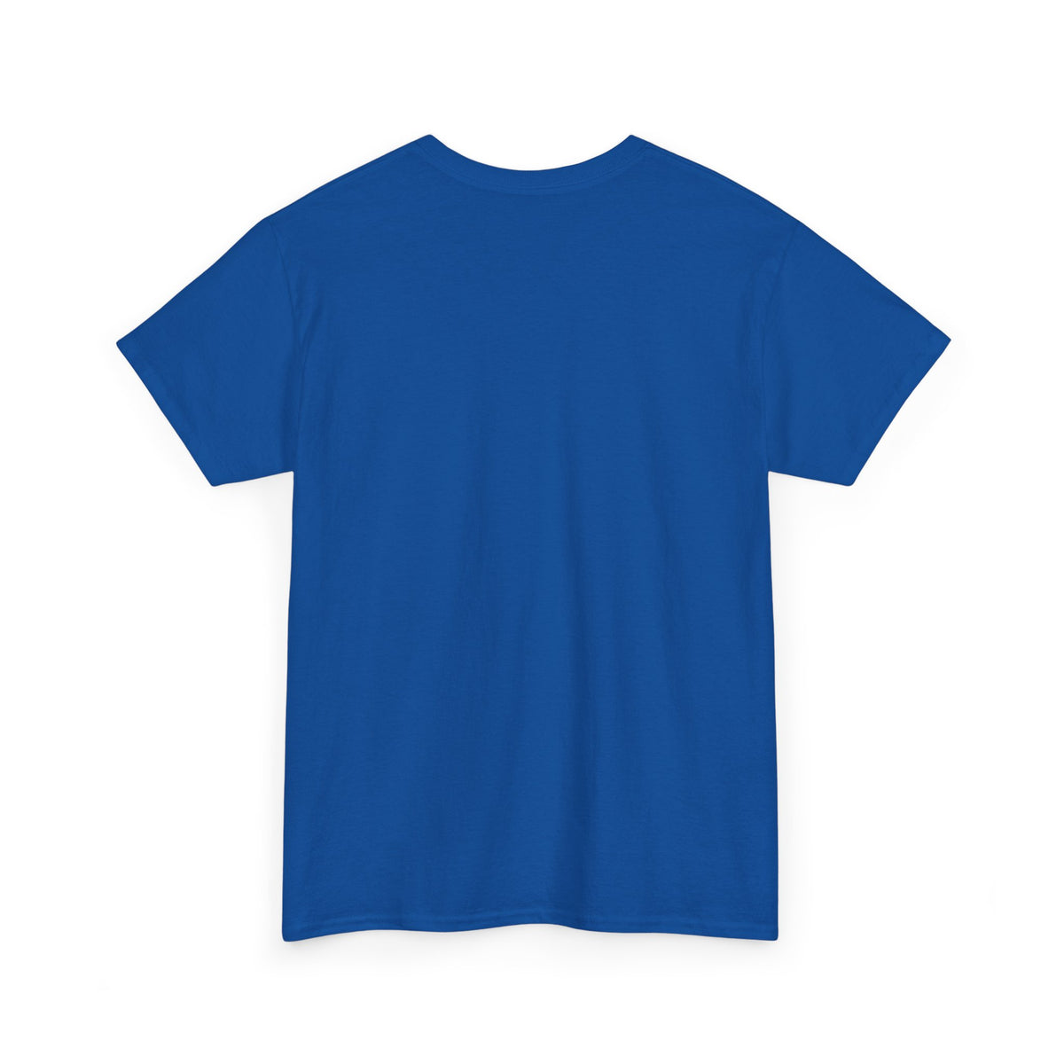R.O.C. Brevard Florida T-Shirt – Reclaim Our Community Pride Tee